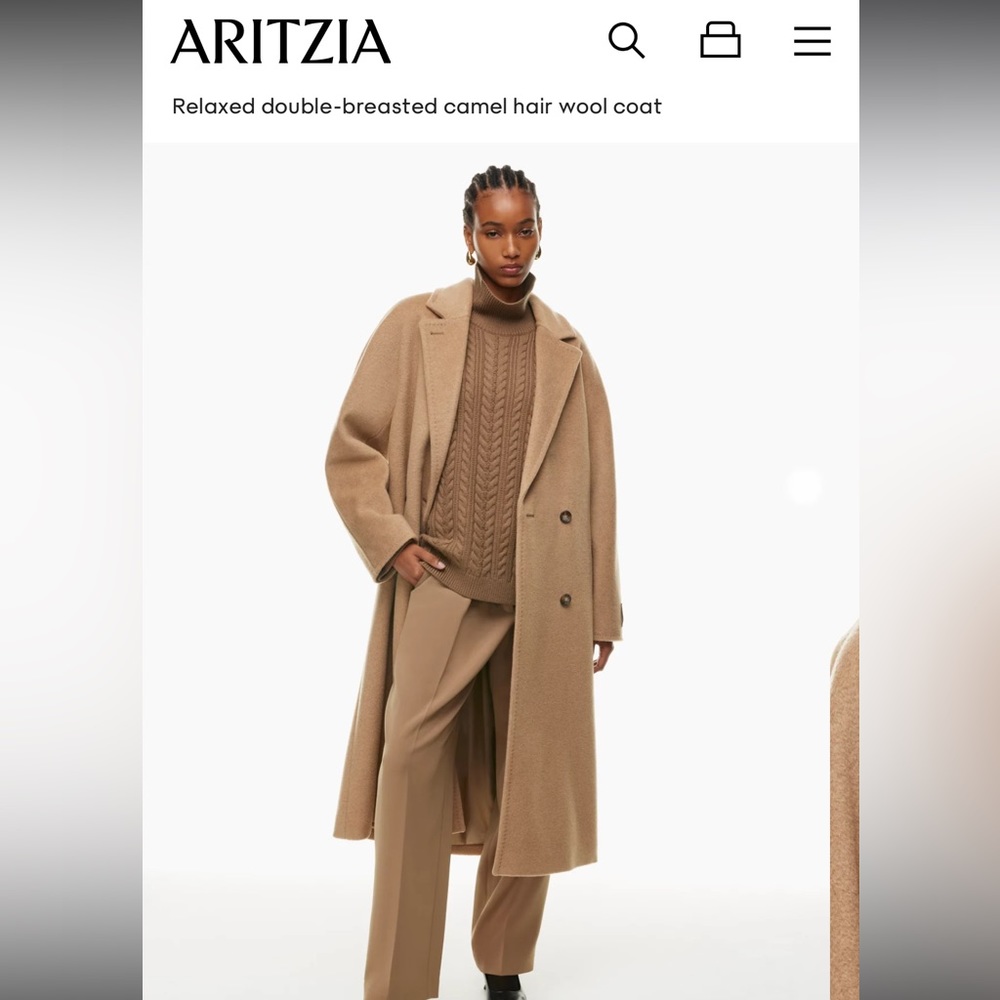 Aritzia The Slouch Coat (Tall/Size 2)